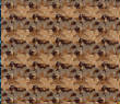 Camo/WTP-153.jpg