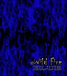 SkullsFlames/film-WildFireBLUE-1.jpg