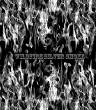SkullsFlames/film-WildFiresilver-1.jpg