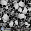 SkullsFlames/skullz.jpg